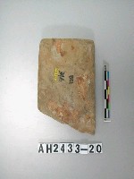 藏品(磨製石料)的圖片